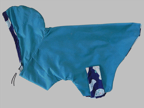 Raincoats for Pugs: Tropical Rain Hoodie Turquoise