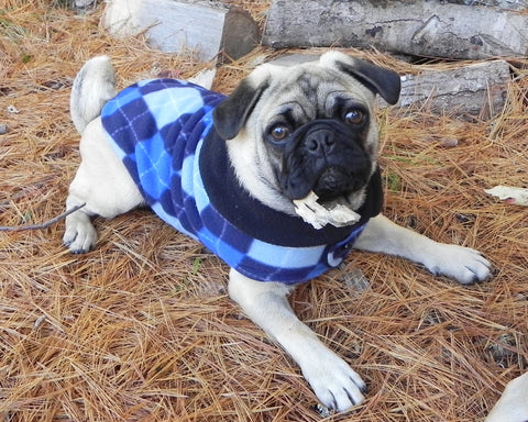 Fleece Jackets: Preppy Blue Argyle