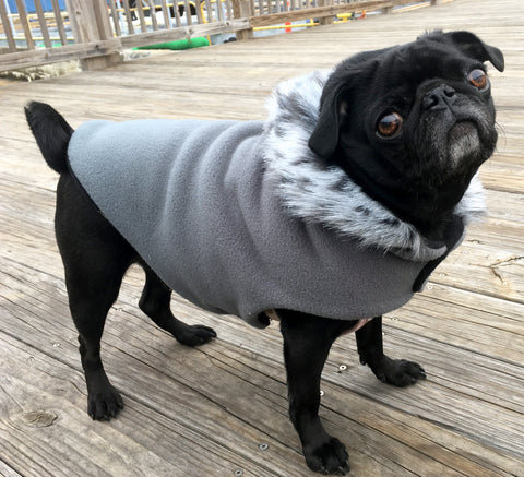 Cold Climate Coat: Luxury Polar Pup