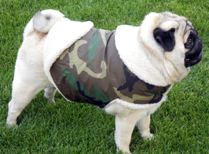 Rain Gear for Pugs: Waterproof Adventure Camo