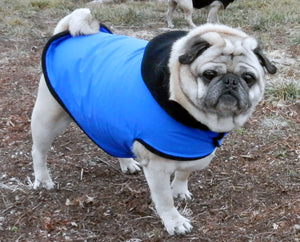 Winter Clothes for Pugs: X-treme Cobalt Blue Ski Jacket