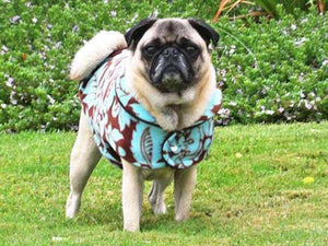 Fleece Jacket: Turquoise/Brown Floral